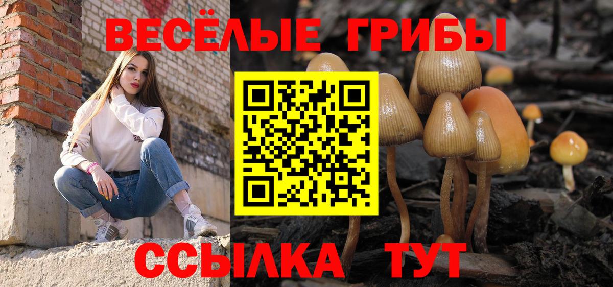 Псилоцибиновые грибы прущие грибы Азнакаево