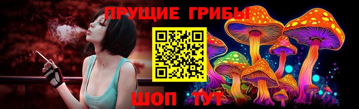 Азнакаево  Псилоцибиновые грибы Psilocybine cubensis  Вход с VPN 
